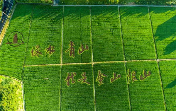 首页-人生就是博(官网)