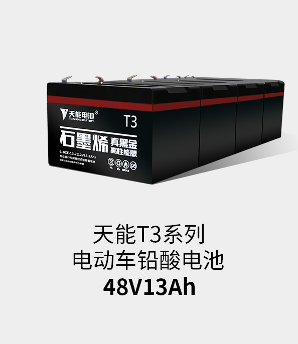 人生就是博官网T3系列48v13ah